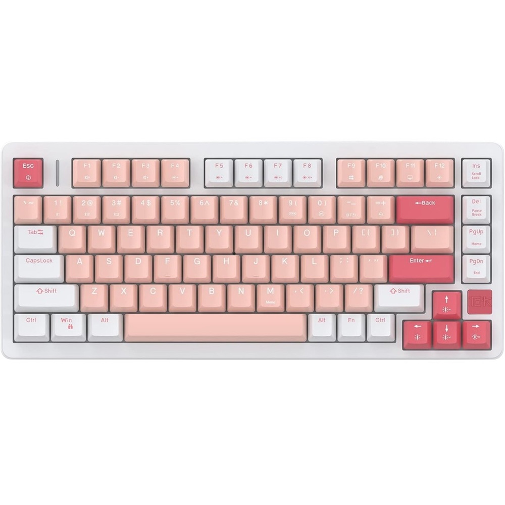 Hot Swappable Mechanical Keyboard with Red Switches